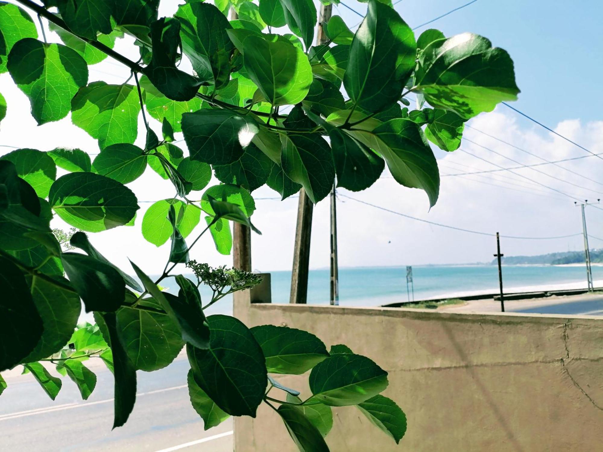 Villa Yuvin Dondra Dış mekan fotoğraf